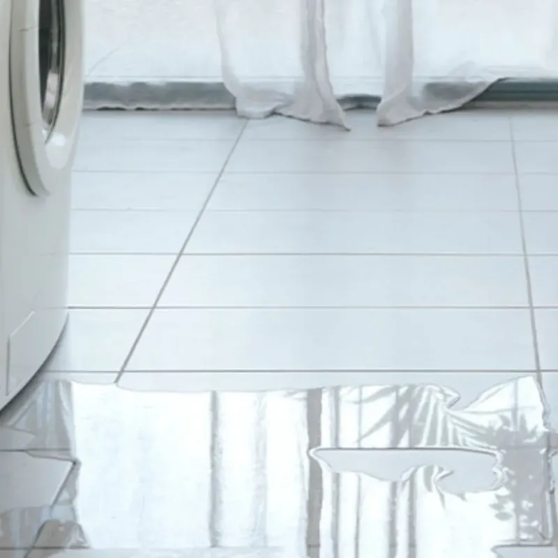 Appliance Leak Cleanup in Medina, WA
