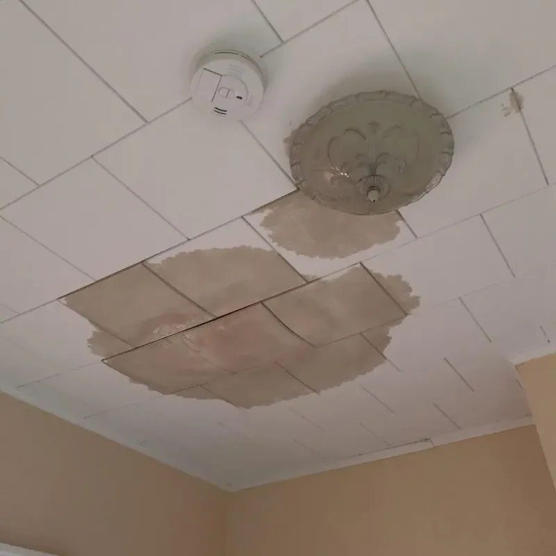Ceiling Water Damage Repair in Medina, WA